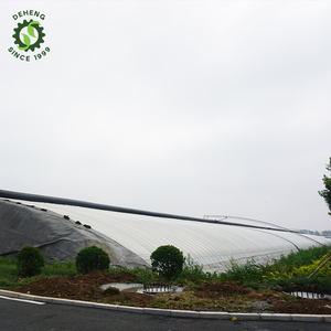 La Mongolie commercialise un grand système de serre d'hiver pour les systèmes de culture NFT Pipe en <span class=keywords><strong>PVC</strong></span> Grow Strawberry/Blueberry - Product Image 6