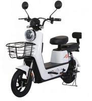 Meilleure Qualité Ebike Pas Cher Vélo Électrique Scooter Dirt Bike Prix au Pakistan