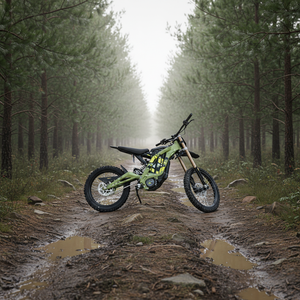 Nouvelle Moto Tout-Terrain 60V la Moins Chère 2025 X Color LIGHT X pour Moto Tout-Terrain - Product Image 1