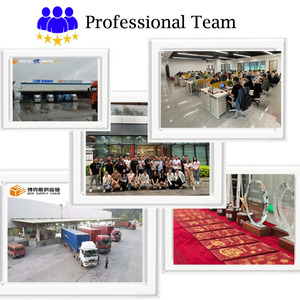 Proveedores Logística FBA Agente de envío China Shenzen a Globe Forwarder Liquidación rápida Ventas Envío Proveedor de servicios de logística - Product Image 6