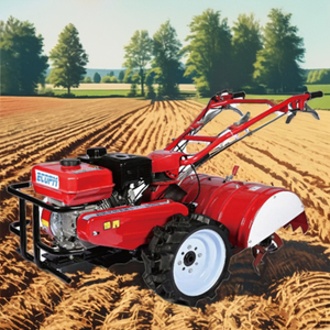 Offre Spéciale – Micro-cultivateur thermique à essence, largeur de travail 59 cm, couleur rouge, pour la culture 3TGQ-5SZ-170 - Product Image 2