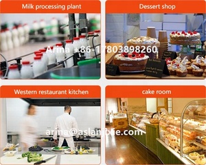 Separatore di Crema di Latte Automatico <span class=keywords><strong>Aslan</strong></span> ASL-50 di Alta Qualità, Macchina Centrifuga per Uso Domestico di Piccola Capacità - Product Image 6