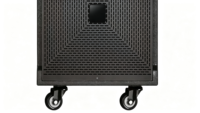 Máquina de Karaoke Profesional para Exteriores de 12 Pulgadas y 100W, Pantalla Táctil de 21.5 Pulgadas con Visualización de Letras, Sistema de Audio BT para Fiestas KTV