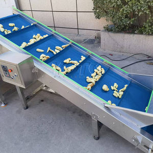 Ginger Washing Peeling And Slicing Machines Ginger Paste Processing Machine Ginger <b>Garlic</b> <b>Crusher</b> - Product Image 2