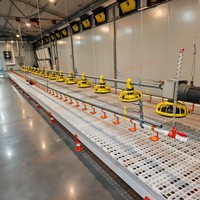 Ligne d'alimentation automatique pour volailles au sol, mangeoire à vis sans fin robuste et réglable, galvanisée, pour poulets de chair et reproducteurs, à économie de main-d'œuvre