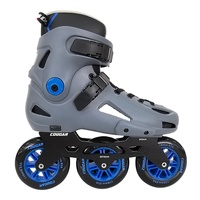 Chaussures de skate 307A Cougar 3 roues, patins à roulettes urbains personnalisés