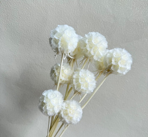 Vainas de Scabiosa Naturales Multicolores, Flores Secas de Tipo Windmill, Suministro al por Mayor para Arreglos Florales, Decoración de Bodas y Fiestas - Product Image 5