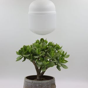 Hiệu quả 30 Wát hình thức nhỏ yếu tố dẫn phát triển bóng đèn cho trong nhà Herb Gardens và nhỏ gọn trồng hệ thống - Product Image 6