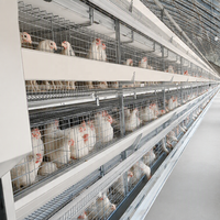 Cage à poules pondeuses de type H galvanisée à chaud, 4/5/6/8 niveaux, cage automatique pour poules pondeuses pour élevages avicoles à grande échelle