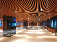 Plafonds à lattes WPC artistiques modernes, écologiques, ignifuges, en PVC avec fonction imperméable, installation facile sur grille de plafond