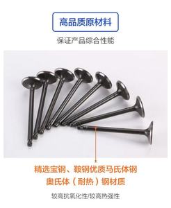 Cho Hyundai Bộ phận động cơ van cho lượng & xả 22211-2b400 & 22212-2b400 Chất lượng cao tappets - Product Image 4