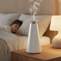 Diffuseurs d'arômes métalliques pour hôtels, directement de l'usine, alimentés par USB, contrôlables par application, capacité de 51 à 100 ml, télécommande, longue durée