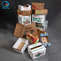 Eco-vriendelijke hoogwaardige golfkartonnen fruitverpakkingen, op maat bedrukt met matte/glanzende laminatie, duurzaam en recyclebaar