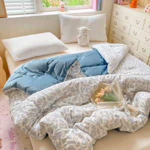 Couette de lit épaissie d'hiver chaude et douce Couette en polyester à motif de dessin animé avec remplissage complet - Product Image 3