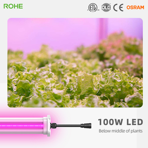 ไฟปลูกพืชแบบ LED ROHE 120W สีแดงและสีน้ำเงิน สำหรับปลูกพืชในระหว่างต้นไม้ ช่วงเจริญเติบโตและออกดอก - Product Image 5