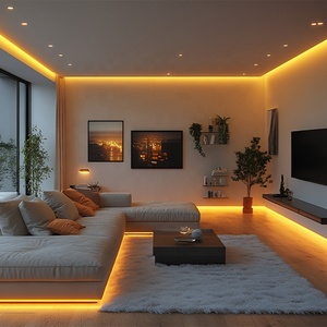 Chất lượng cao có thể điều chỉnh 3528 120D SMD LED Strip 8 mét <span class=keywords><strong>PCB</strong></span> Chiều rộng Đồng đèn cơ thể IP44 cuttable đầy màu sắc CRI với ứng dụng chế độ điều khiển - Product Image 3