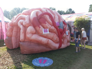 <span class=keywords><strong>Inflatable</strong></span> não cao bơm hơi khổng lồ não cho quảng cáo trang trí đường phố - Product Image 5