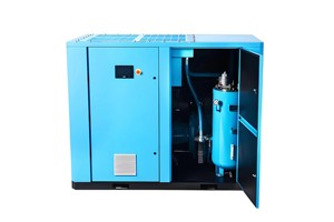 Compressore d'aria a vite VSD 40A 30kW per impieghi gravosi, prestazioni stabili, risparmio energetico per vendita all'ingrosso industriale - Product Image 5