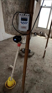 Hệ thống cho ăn gia cầm thông minh tự động, máng ăn tự động cho gà, vịt, chim bồ câu, cửa cho ăn gà hoàn toàn tự động - Product Image 3