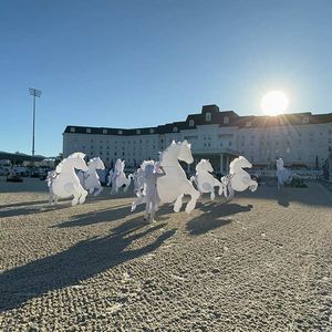 Cavallo Gonfiabile LED Personalizzato per Parate, Cavallo Gonfiabile con Illuminazione LED Bianca per Spettacoli di Carnevale - Product Image 4