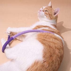 ของเล่นสัตว์เลี้ยงแบบโต้ตอบสำหรับแมวสุนัขกัดเชือกสัตว์ขนาดเล็กไม้แทะแมลงผลไม้เพื่อความสนุกสนานสัตว์เลี้ยงเป็นมิตรกับสิ่งแวดล้อม - Product Image 3