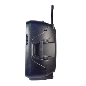 Classic Style Single 8/12/15 Inch Flame Light Speaker Compact Portable Outdoor BT Speaker - Product Image 5