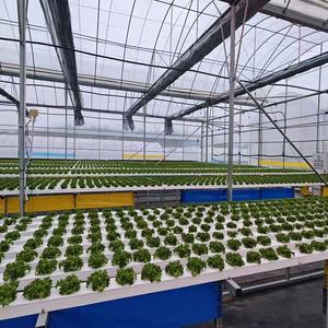 Equipo de Cultivo Hidropónico Vertical de Alta Productividad para Cultivo de Hongos en Interiores, Tubo NFT, PP de Grado Alimenticio, 5 Capas, Tamaño Personalizable - Product Image 6