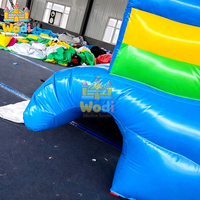 Toboggan aquatique gonflable géant pour enfants et adultes, usage commercial, toile en PVC de 0,55 mm, résistant aux chocs, taille/couleur personnalisable, garantie 3 ans