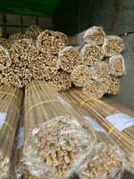 Tongkat Bambu Tahan Lama untuk Penyangga Tanaman Tomat Ramah Lingkungan Tongkat Bambu Kering untuk Penggunaan Pertanian