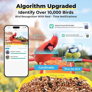 Alimentador inteligente <span class=keywords><strong>de</strong></span> colibrí con energía solar con cámara ajustable, monitoreo <span class=keywords><strong>de</strong></span> <span class=keywords><strong>video</strong></span> HD, conectividad inalámbrica para observación <span class=keywords><strong>de</strong></span> aves <span class=keywords><strong>de</strong></span> jardín - Product Image 5