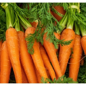 อาหารแครอทสดพร้อมบรรจุภัณฑ์แบบกำหนดเองผลิตภัณฑ์ทางการเกษตรสไตล์เวียดนาม - Product Image 5