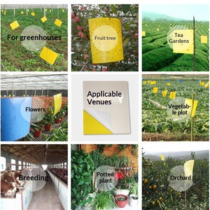 25×30 cm Waterproof Strong Stickiness Pest Control Sheet - Product Image 6