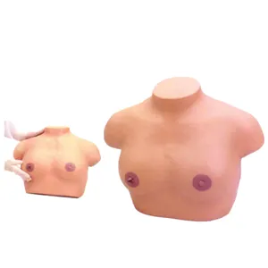 晚期乳腺癌考试模式先进的检查和触诊乳房解剖模型