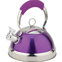 Bouilloire en acier inoxydable pour la maison, capacité 2,5 L, écologique, compatible lave-vaisselle, pour gaz et induction, options de camping, usage domestique
