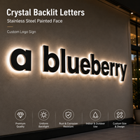 Lettres lumineuses LED personnalisées pour entreprises, livraison rapide, enseignes 3D illuminées, étanches IP65, multicolores, éclairage extérieur pour magasins