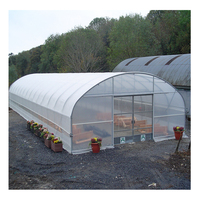 Serre tunnel agricole en film plastique à simple travée Sinok pour la culture de tomates – Kit complet