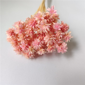 Ghirlanda di Fiori Secchi di Aster Brasiliano, Margherite di Montagna Piccole, per Decorazioni Natalizie Fai-da-te, Ghirlanda Popolare - Product Image 3
