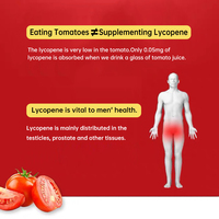 Ganoherb Suplemento Suppléments à base de plantes Reishi Lycopène Capsules Poudre de graines Extrait de plantes pour la santé de la prostate