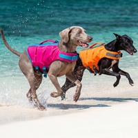 Maillot de bain pour animaux de compagnie personnalisé, luxe, simple, été, écologique, durable, flottabilité élevée, couleur unie contrastée, pour chiens grands/petits, XL