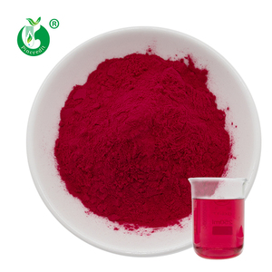 Pó de Suco Concentrado de Beterraba Vermelha de Alta Qualidade - Product Image 1