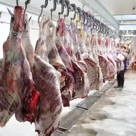 Peralatan garis Abattoir sapi domba perlengkapan pemrosesan daging rumah pemotongan sapi Abattoir untuk pemotongan sapi jantan