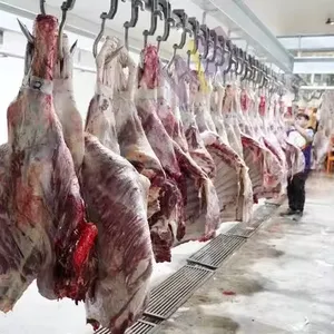 Sığır koyun Abattoir hattı ekipmanları inek Abattoir mezbaha et işleme ekipmanları sığır boğa kesim için