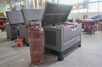 Générateur bi-carburant 15-30 KVA 4 cylindres essence/gaz naturel avec ATS intégré, châssis en acier, personnalisable