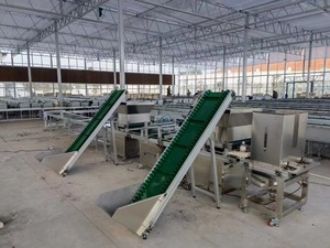 Tự động dây chuyền sản xuất 128 200 tế bào tùy chỉnh khay hạt giống máy trồng cho hành tây cà chua hạt giống - Product Image 3