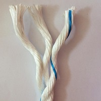 Corde torsadée en polyéthylène plastique épais (HMPE) PE de haute qualité pour bateau de pêche 6MM --- 40MM Les couleurs et la longueur peuvent être personnalisées ..