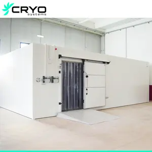 insulation cold storage homemade walk in freezer For tilapia fish chambre froide solaire prix panel cold room