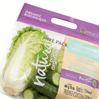 Emballage personnalisé YSH avec logo imprimé pour aliments surgelés, lait frais, fruits, légumes, résistant à l'humidité, avec trous perforés, fermeture éclair transparente en BOPP