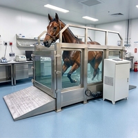 Tapis roulant aquatique pour chevaux BIGEER, hydrothérapie équine, tapis roulant de réadaptation pour l'entraînement des chevaux de course et usage vétérinaire
