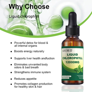 Clorofilla Liquida all'Ingrosso Estratto di Foglie di Gelso Supporto per la Salute del Fegato Gusto Naturale di Menta Piperita 59ml - Product Image 4