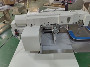 Hot Sale 3020 Type Pattern Sewing Machine for Thick Material and Leather - Product Image 4